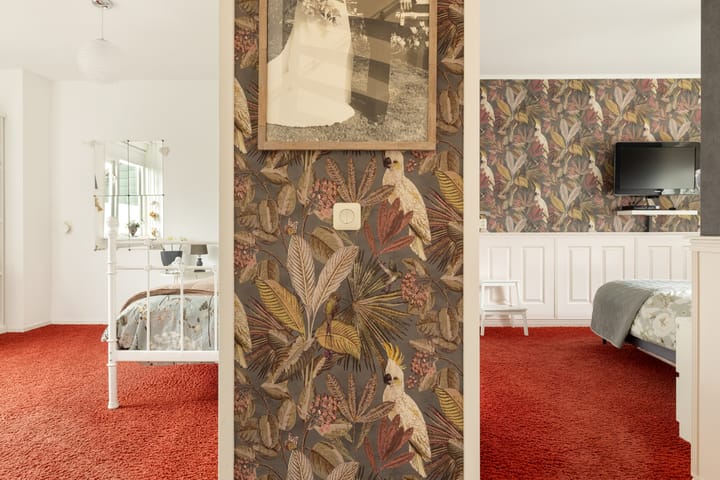 Foto 15 van Musholm 260