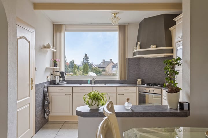 Foto 9 van Borredreef 20