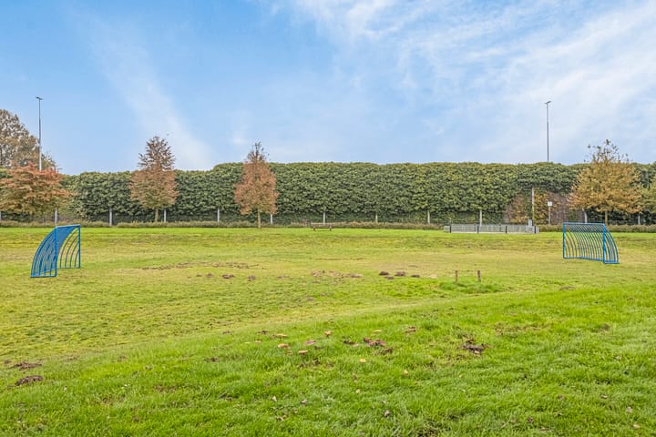 Foto 37 van Borredreef 20