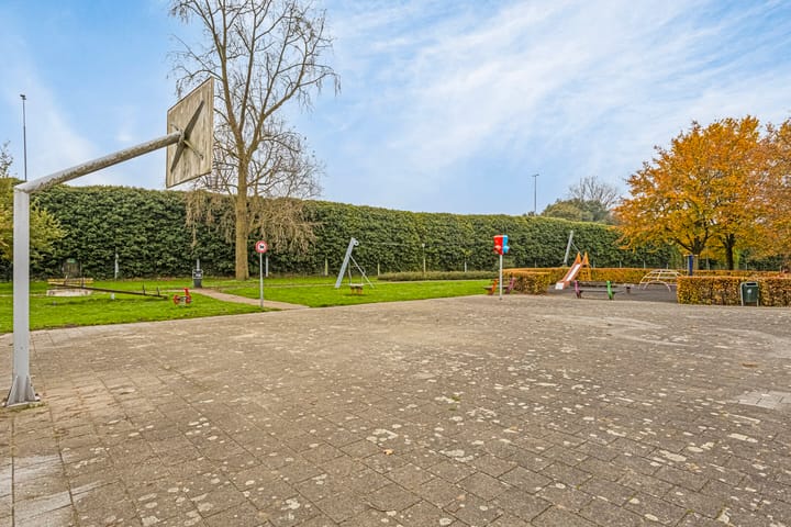 Foto 38 van Borredreef 20