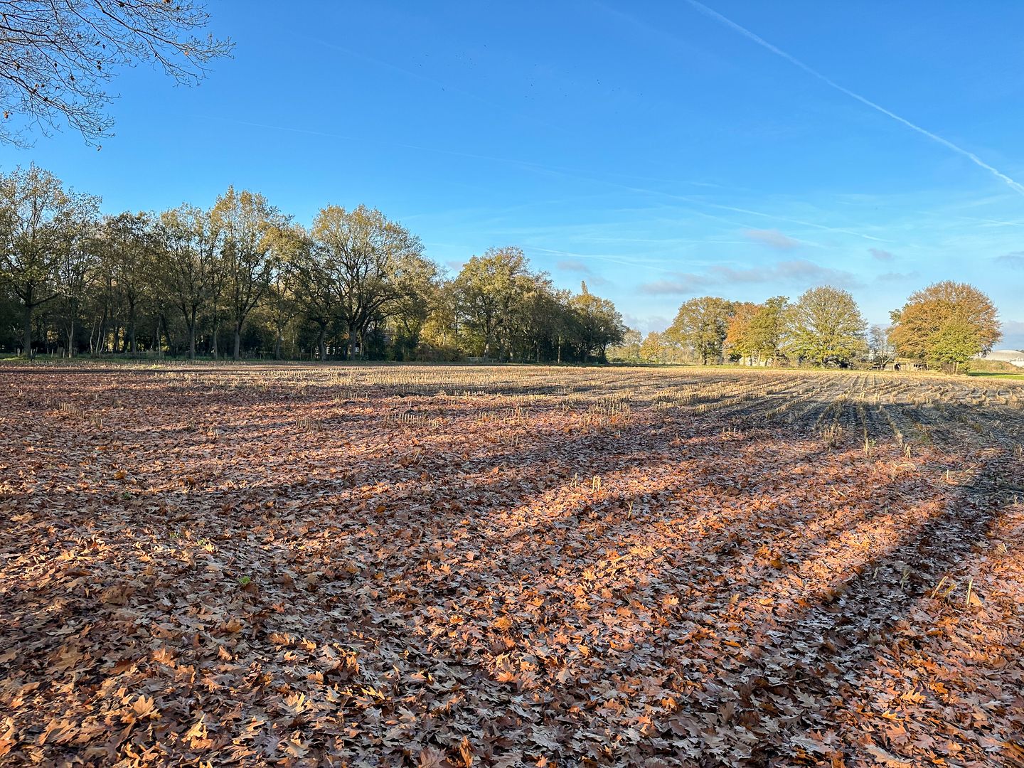 Foto 5 van Bruchterbeekweg
