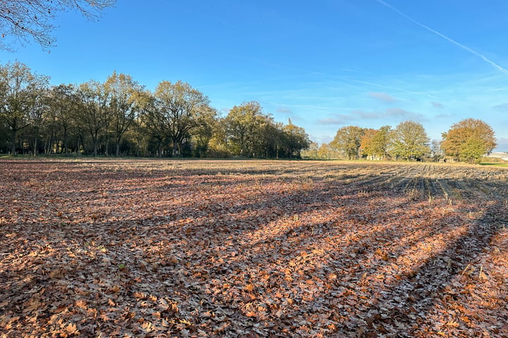 Bekijk foto 5 van Bruchterbeekweg