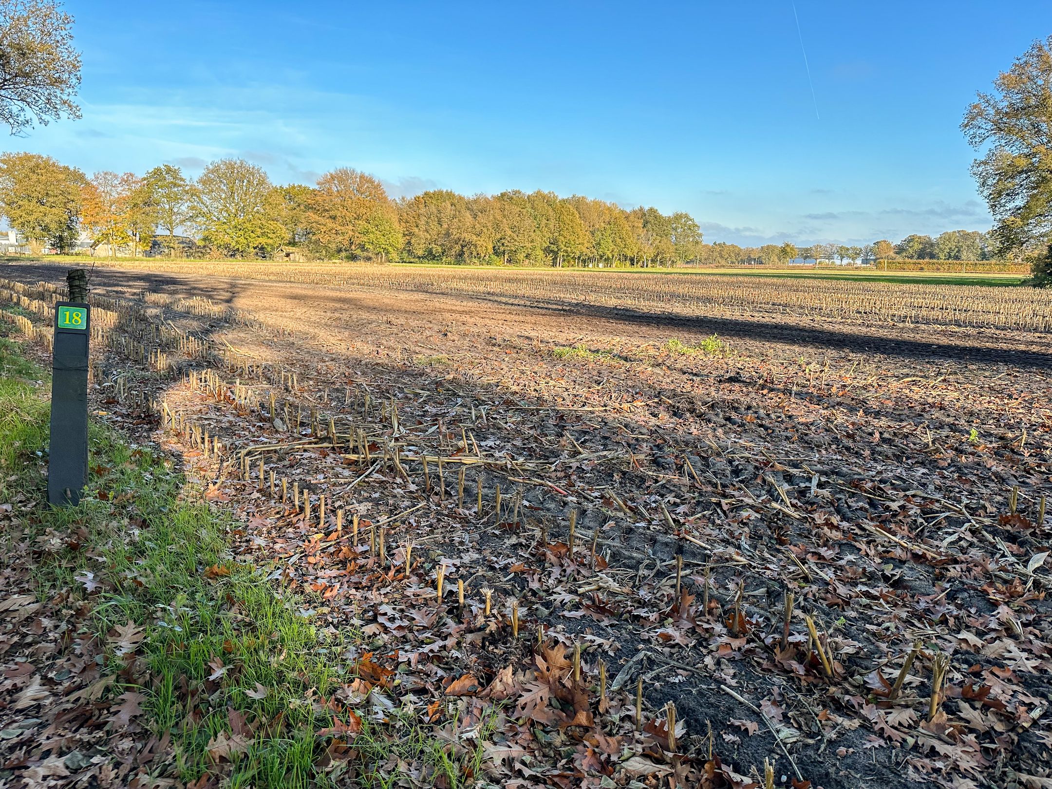 Bruchterbeekweg, Brucht, 7696BA, Overijssel, Nederland
