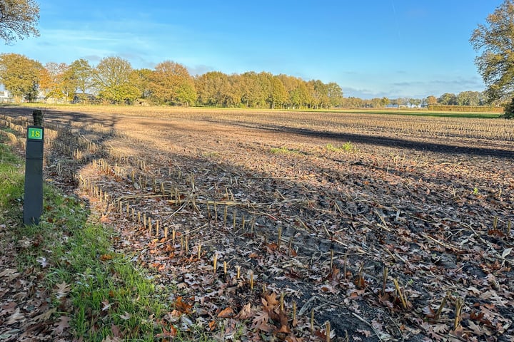 Bekijk foto 1 van Bruchterbeekweg