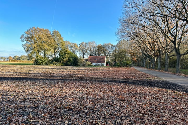 Bekijk foto 3 van Bruchterbeekweg