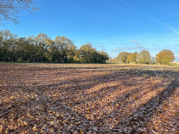 Foto 4 van Bruchterbeekweg