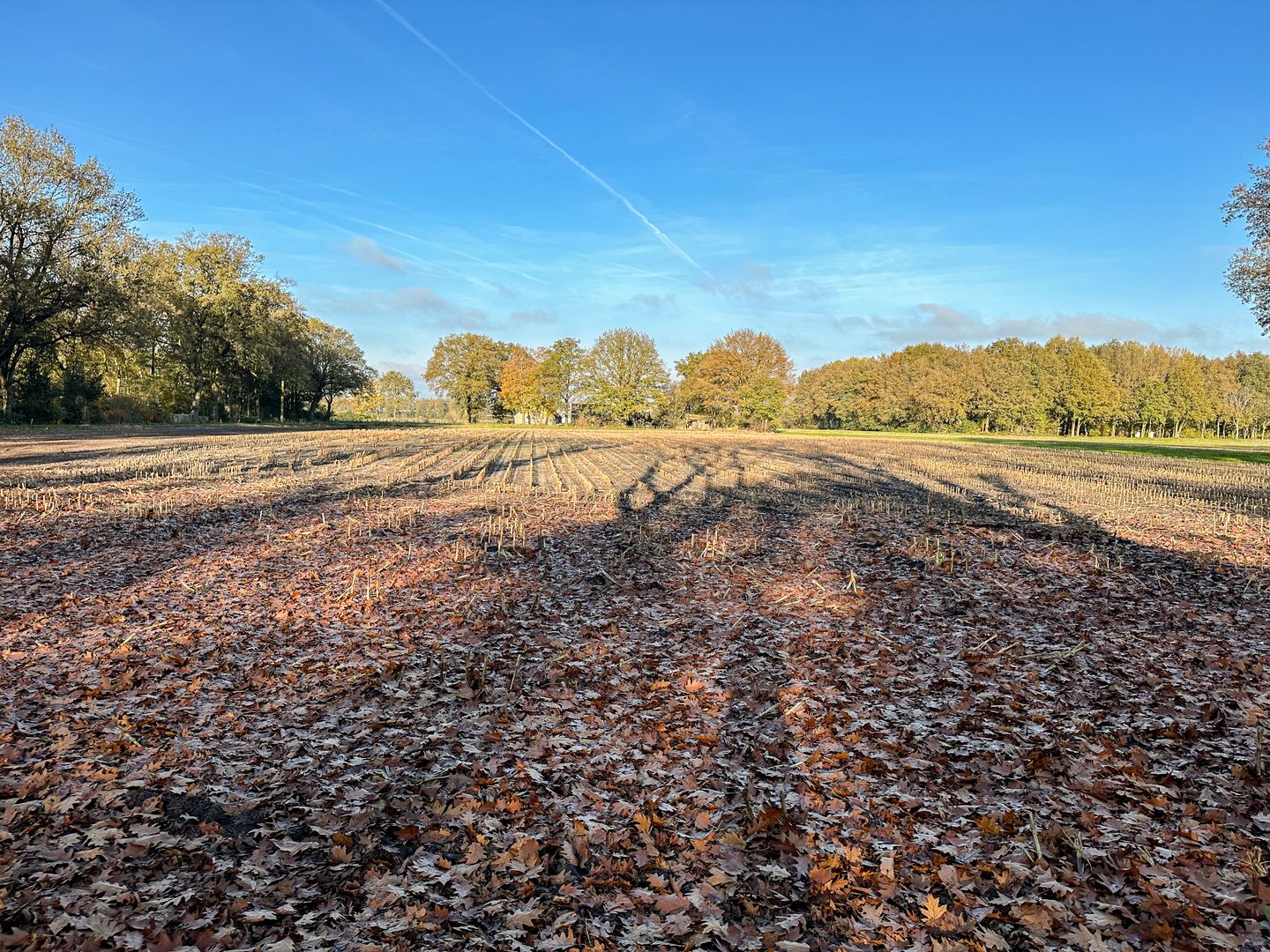 Foto 5 van Bruchterbeekweg