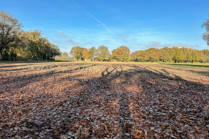 Bekijk foto 5 van Bruchterbeekweg