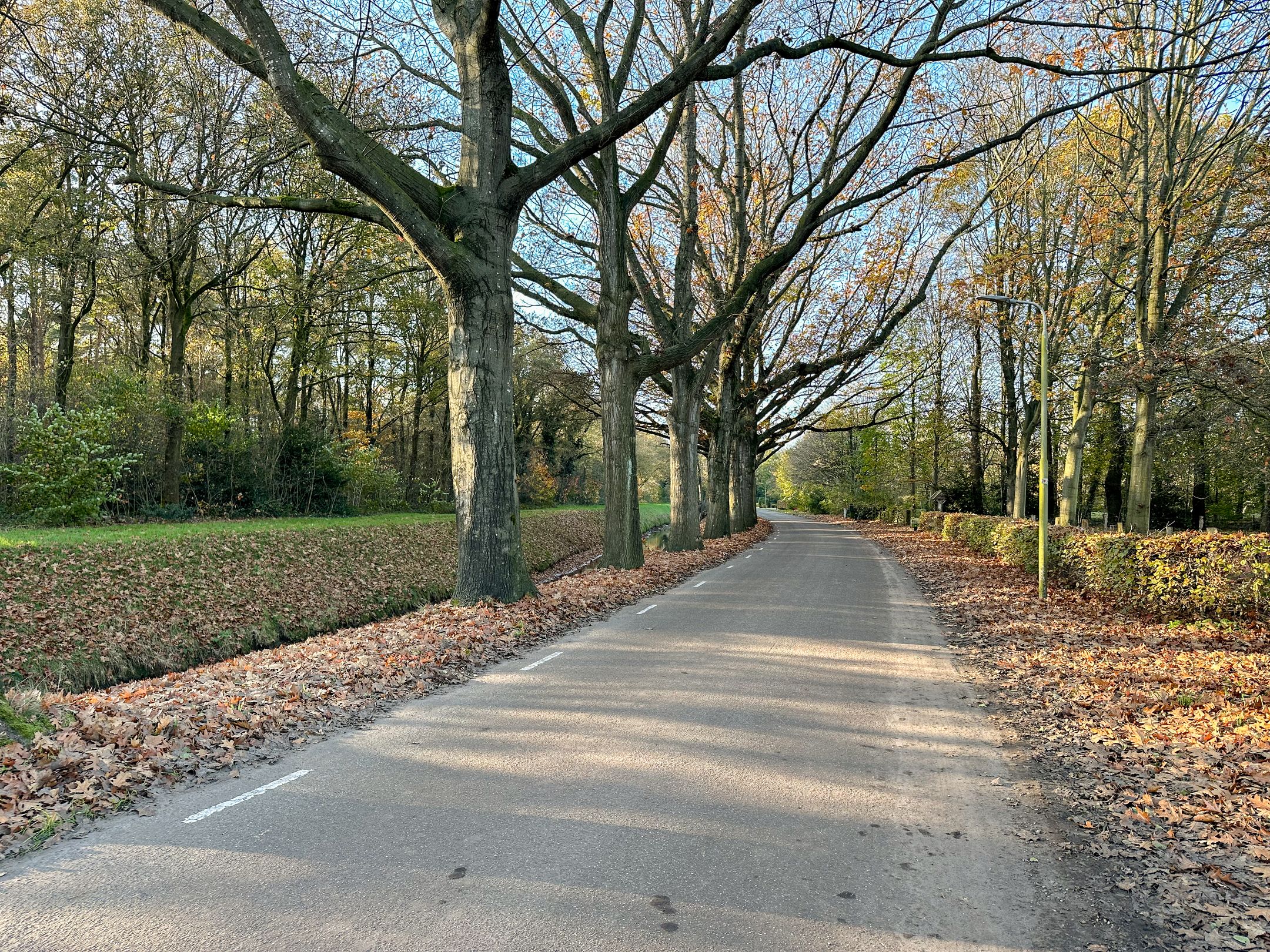 Foto 9 van Bruchterbeekweg