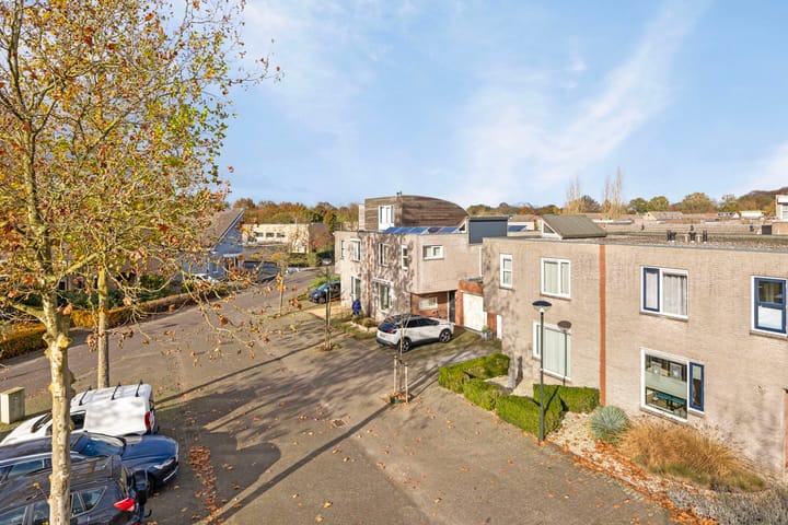 Photo 2 of Regenwulp 5