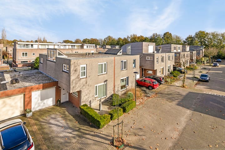 Photo 3 of Regenwulp 5