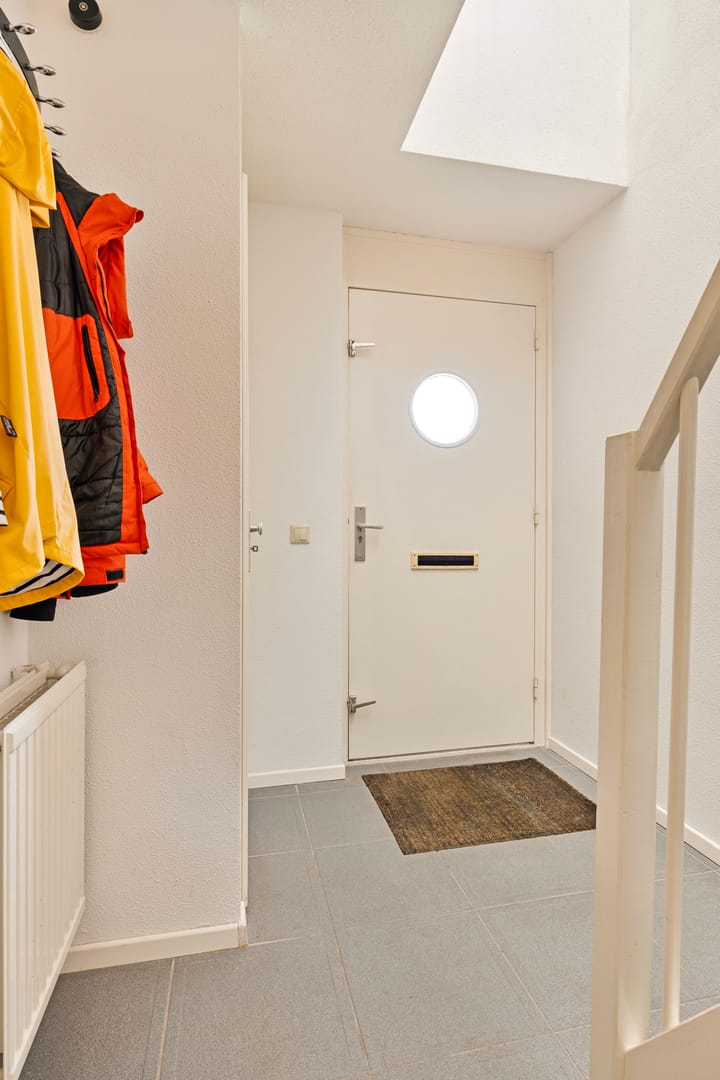 Photo 4 of Regenwulp 5