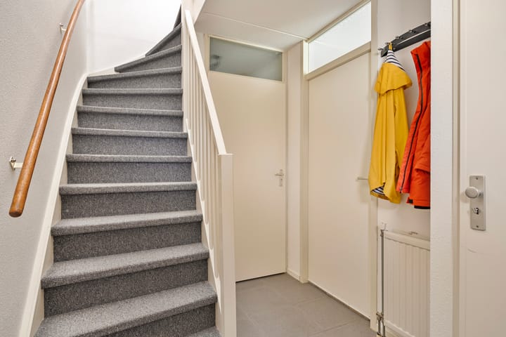 Photo 5 of Regenwulp 5