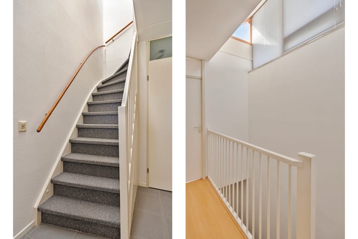 Photo 15 of Regenwulp 5