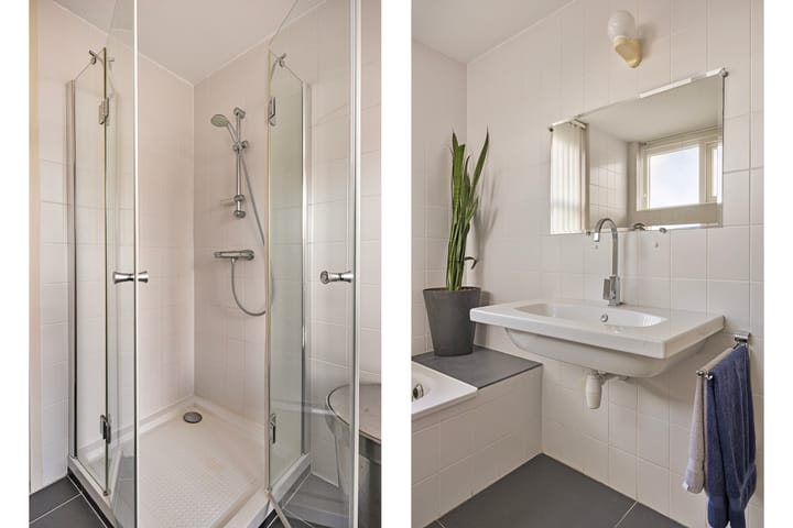 Photo 20 of Regenwulp 5