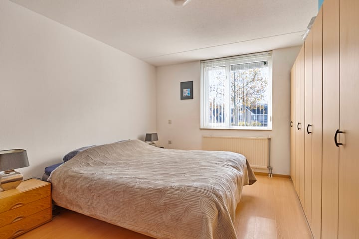 Photo 21 of Regenwulp 5