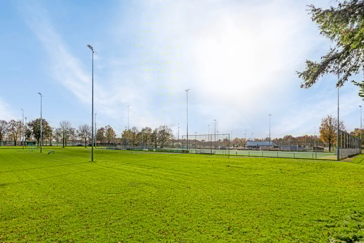 Photo 29 of Regenwulp 5