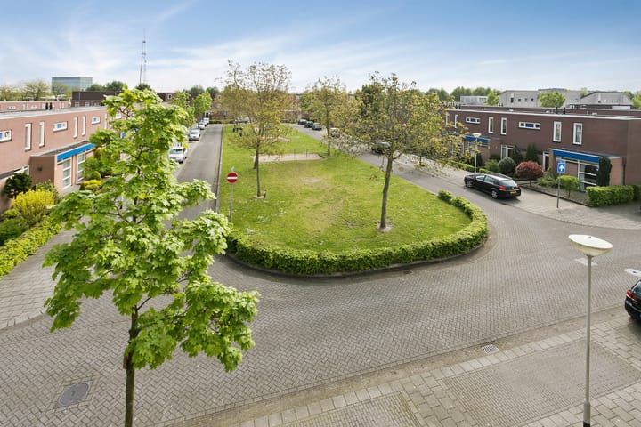 Foto 2 van Dwergblauwtje 12