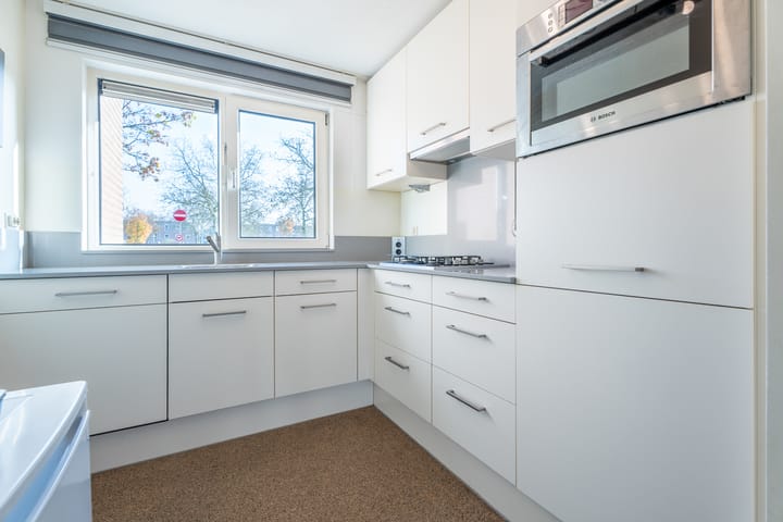 Foto 5 van Dwergblauwtje 12