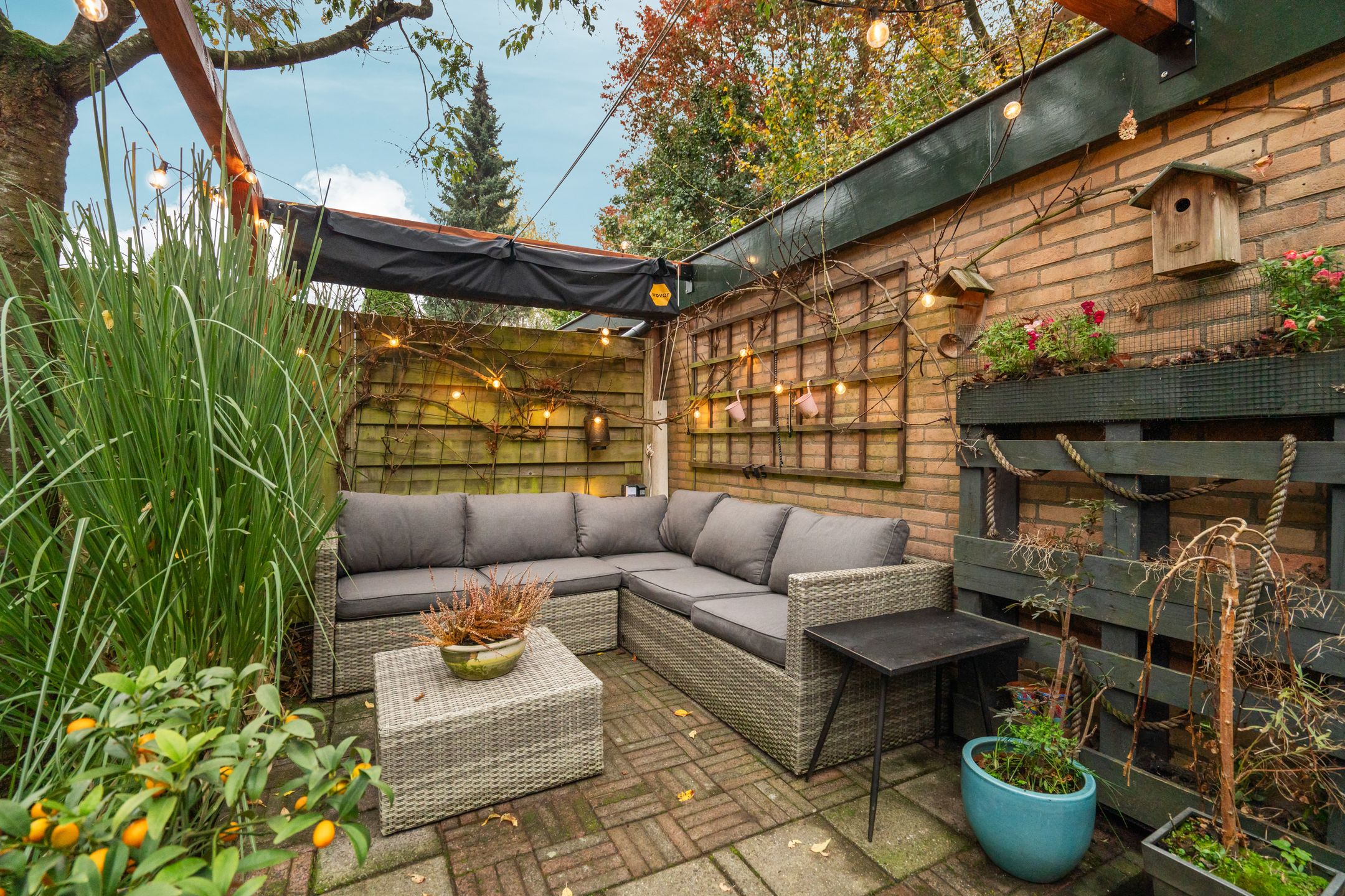 Foto 33 van Vlierhof 36