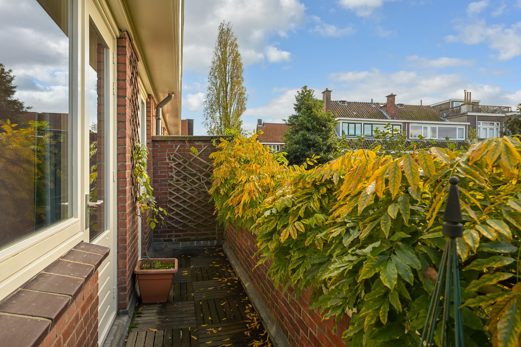 Foto 24 van Van Alkemadelaan 58