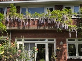 Foto 32 van Van Alkemadelaan 58