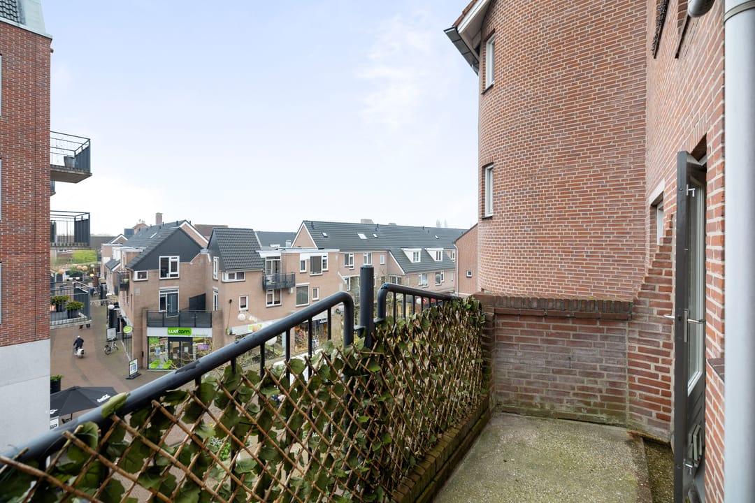 Foto 11 van De Eglantier 317