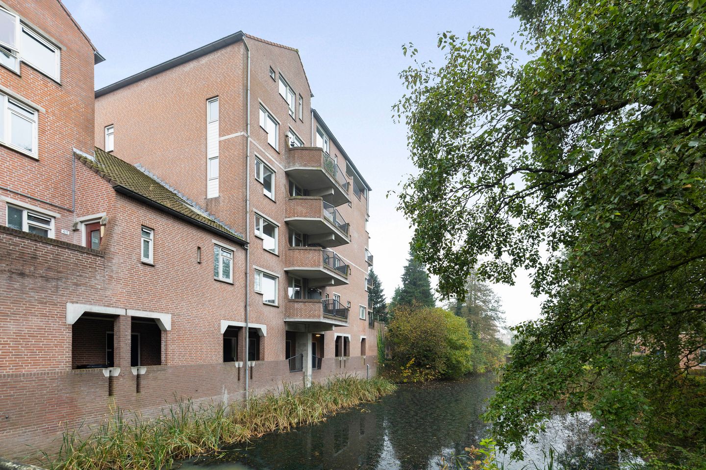 Foto 20 van De Eglantier 317