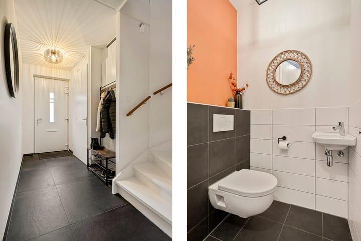 Foto 6 van Korenbloem 6