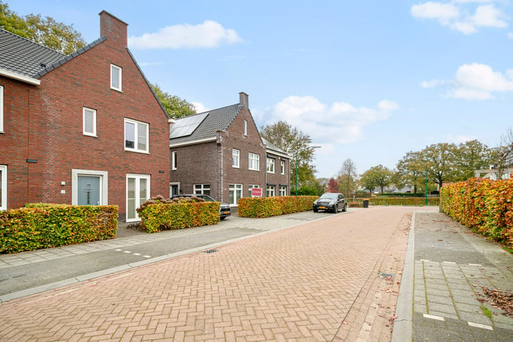 Bekijk foto 32 van Korenbloem 6