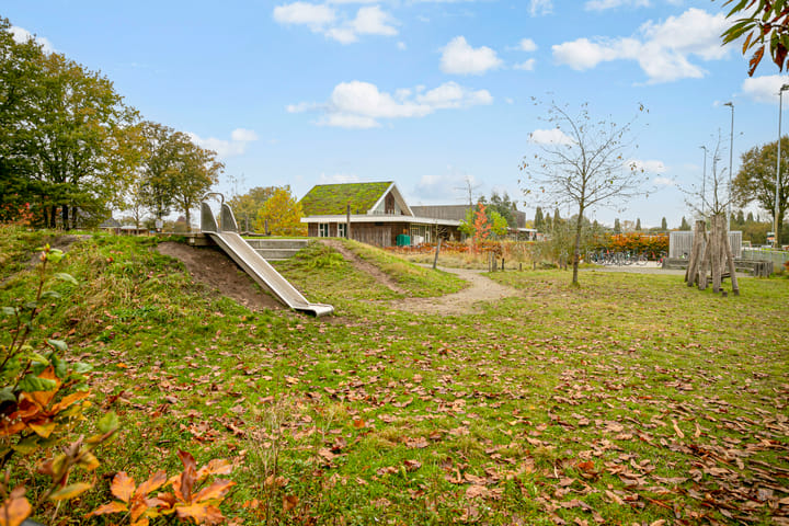 Foto 34 van Korenbloem 6