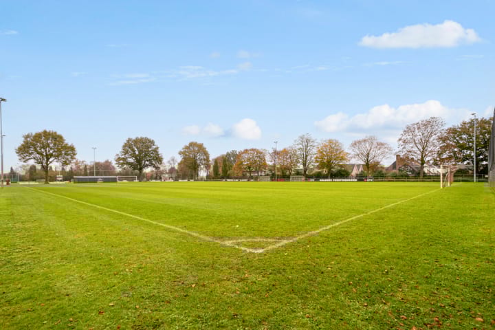 Foto 35 van Korenbloem 6