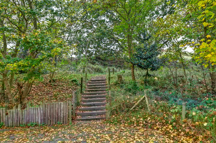 Foto 3 van Hogeweg 50-A0029