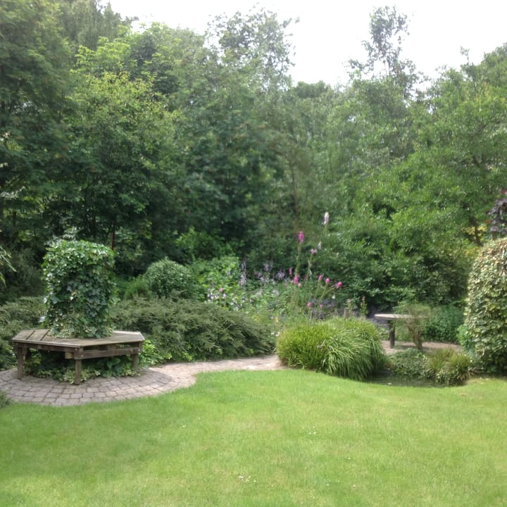 Foto 43 van Hogeweg 50-A0029