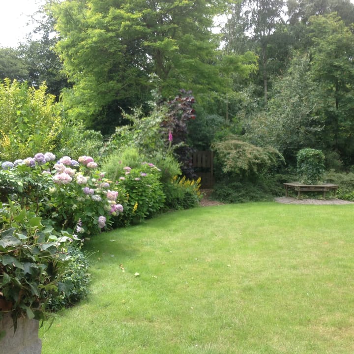 Foto 44 van Hogeweg 50-A0029