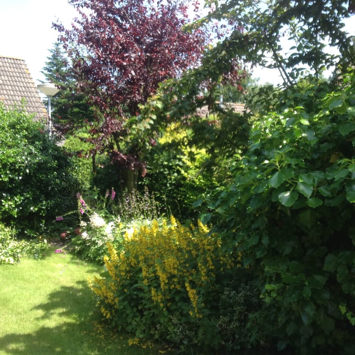 Foto 46 van Hogeweg 50-A0029