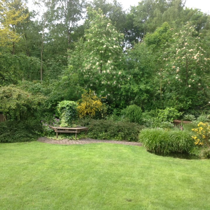 Foto 47 van Hogeweg 50-A0029