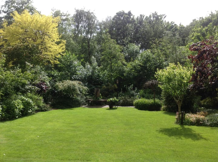 Foto 48 van Hogeweg 50-A0029