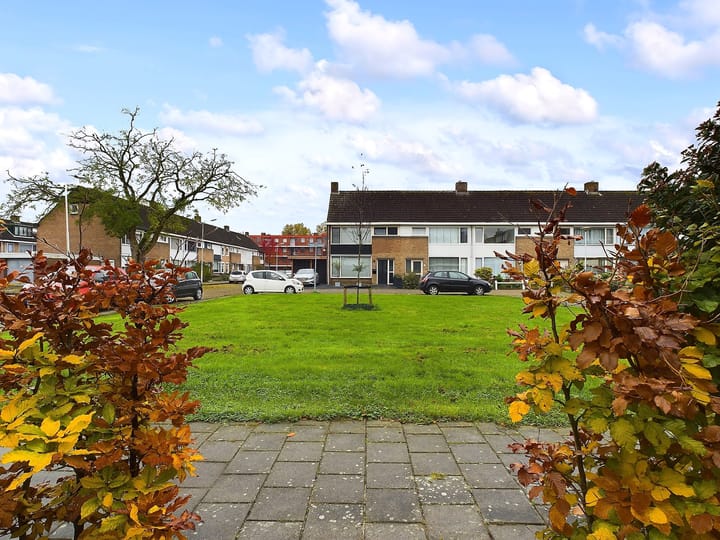 Foto 37 van de Genestetstraat 16