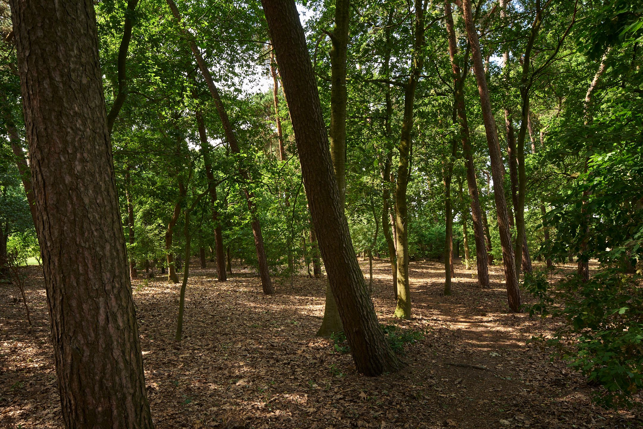 Foto 33 van De Buytencamp 12-A