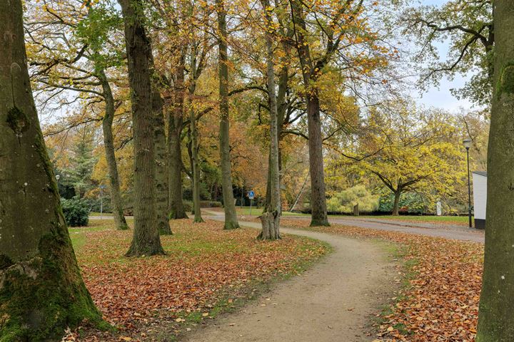 Bekijk foto 33 van Park Reeburg 8