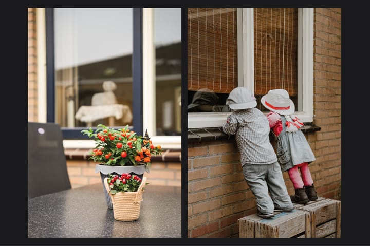 Foto 27 van Bussenbongerd 13