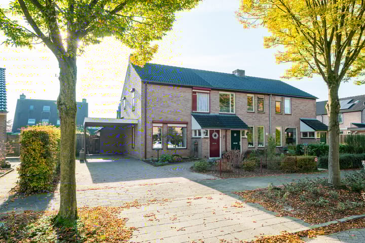 undefined main image