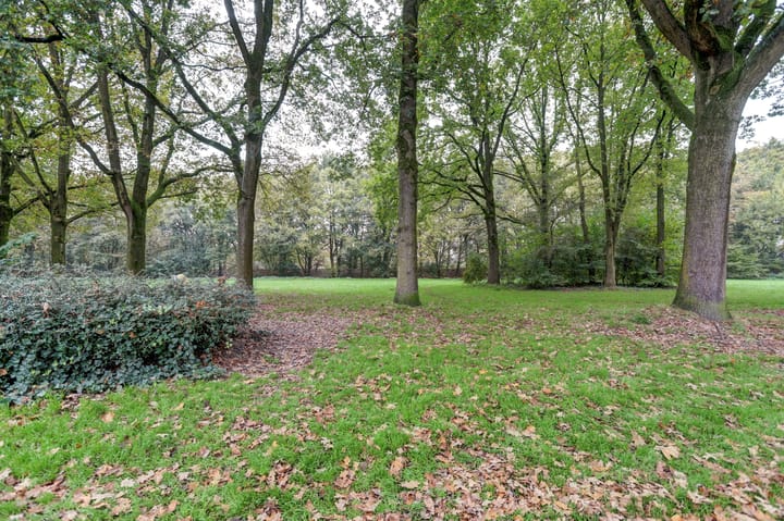 Foto 4 van De Zoom 13