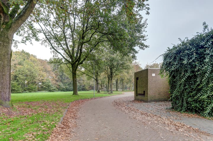 Foto 5 van De Zoom 13