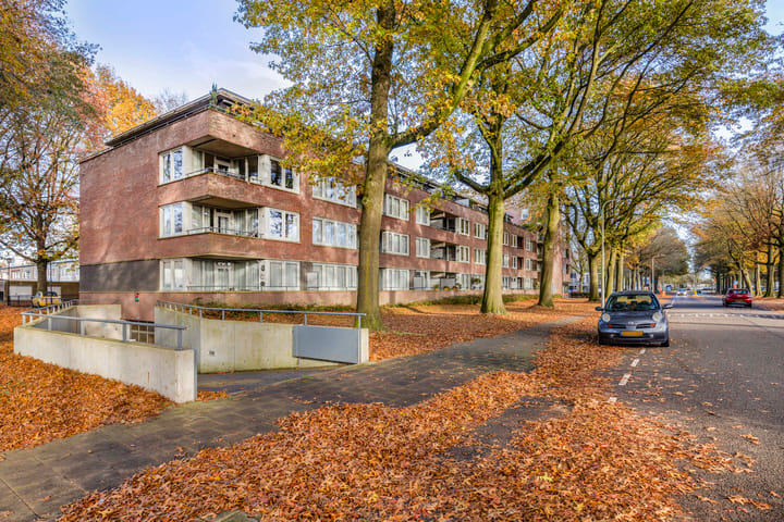 Foto 3 van Verdiplein 82-B