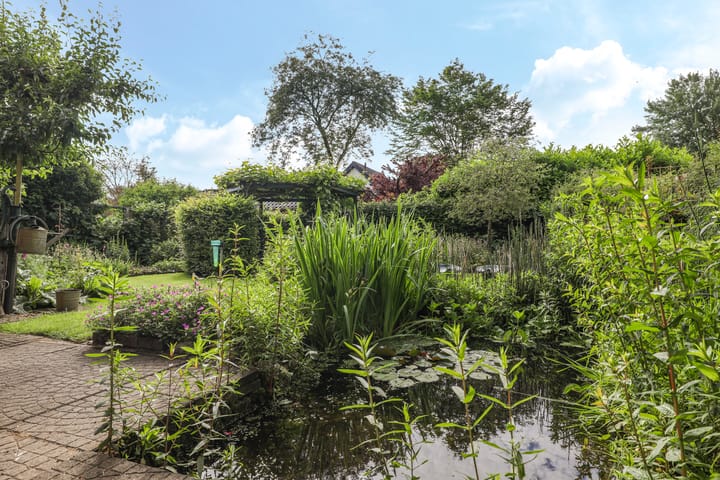 Foto 59 van Alsemveld 21