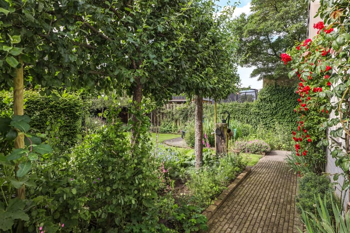 Foto 65 van Alsemveld 21