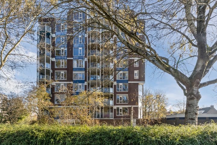 Foto 30 van Logger 26