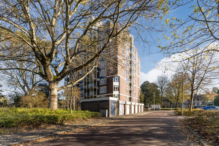 Foto 31 van Logger 26